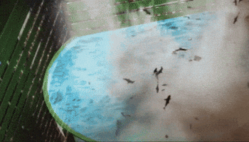 the 4th awakens sharknado 4 GIF by SYFY