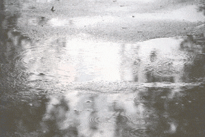 ax  GIF