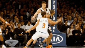 New York Knicks Block GIF by NBA