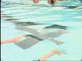 200.gif?cid=fc005b080535b104b228f4c023c83bd099f0ec2844a6e3c6&rid=200.gif&ct=g