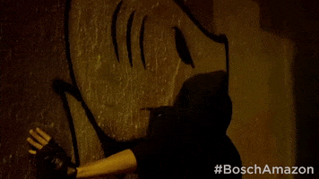 season 3 tag GIF by Bosch