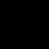 good morning love GIF by Chippy the dog