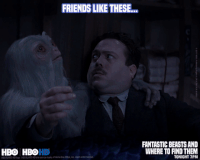 Friends-hbo GIFs - Get the best GIF on GIPHY