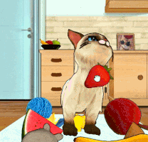 Machocat GIF