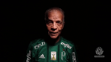 ademir da guia enea GIF by SE Palmeiras