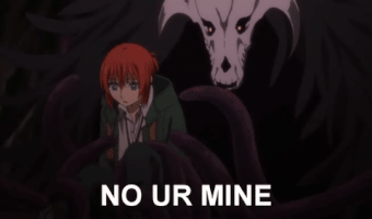 The Ancient Magus Bride Mahoutsukai No Yome GIF
