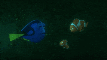 just keep swimming finding dory GIF by Disney/Pixar's Finding Dory