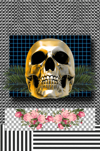 Still Life Skull GIF by kotutohum