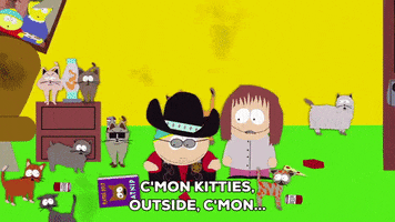 eric cartman kitty GIF by South Park 