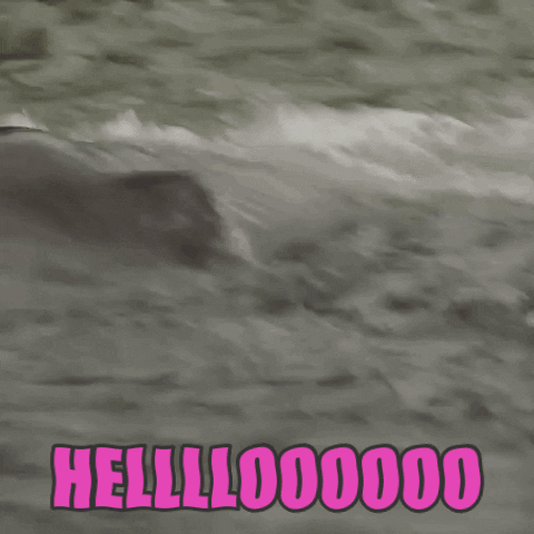 Elephant Hello GIF by chuber channel