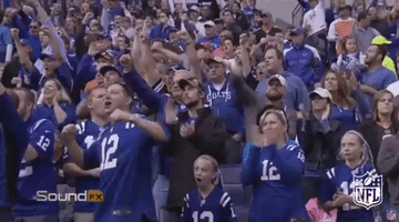 Indianapolis Colts Fans GIF by NFL