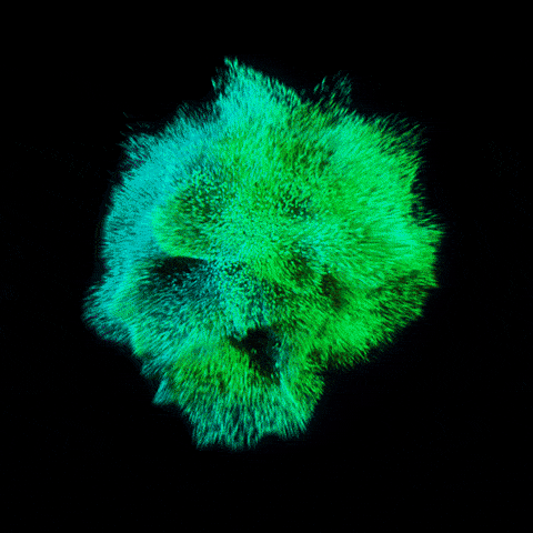 SamuelC animated GIF