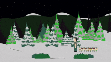 forest guide GIF by South Park 