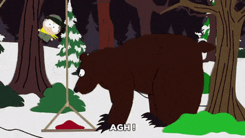 bear woods GIF by South Park 