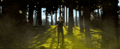 woods forrest GIF by Forever Country (CMA)