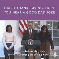 Dad-jokes GIF