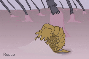 pulga GIF by Don Ropco