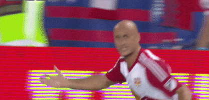 confused aurelien collin GIF by New York Red Bulls