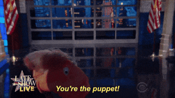 Stephen Colbert Puppet GIF by The Late Show With Stephen Colbert