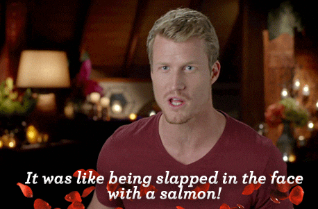 it was like being slapped in the face with a salmon