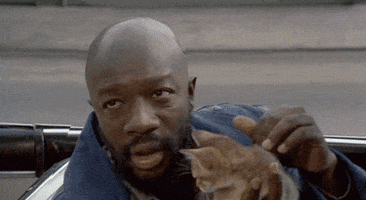 Bald Head Cat GIF by The Official Giphy page of Isaac Hayes