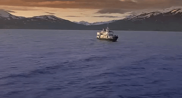 jesusleon  GIF