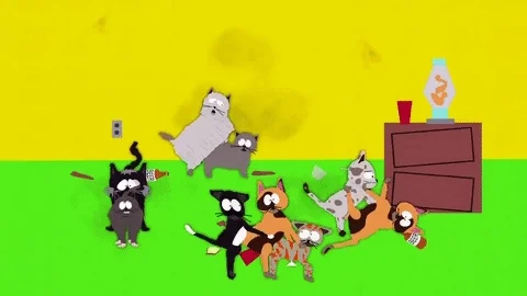 sexy cats GIF by South Park