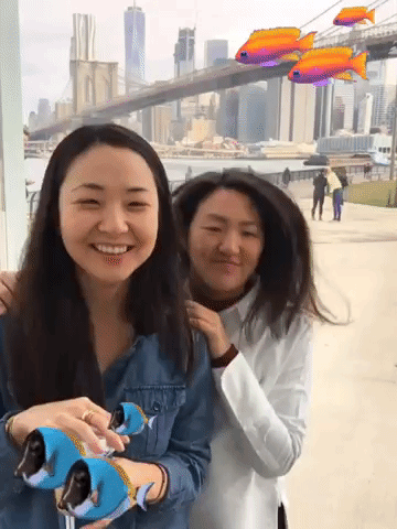 Framebeta GIF by StevieTurnsOne