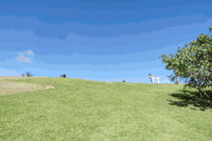 playmrbug  GIF
