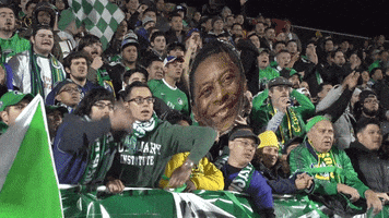 soccer fans GIF by New York Cosmos