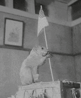 American Flag Usa GIF by US National Archives