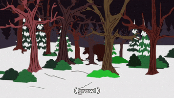 bear wandering GIF by South Park 