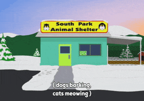day city GIF by South Park 