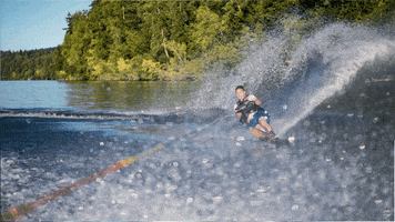 levisim  GIF