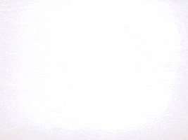 canalencuentro sanmartin libertador canalencuentro 17deagosto GIF