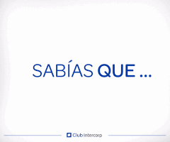 tribute  GIF