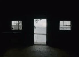 dog years GIF by Maggie Rogers