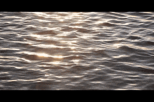 lgdcom  GIF