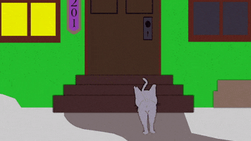 mr. kitty GIF by South Park 