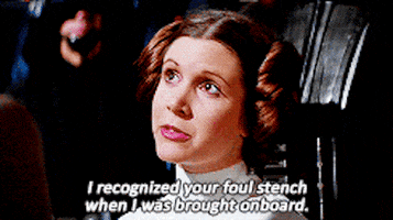 raccoon84 princess leia beautiful words GIF