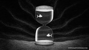 gastonvinas gaston fishes viÃ±as GIF