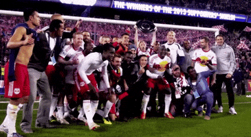thierry henry GIF by New York Red Bulls