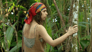 survivor australia GIF by Australian Survivor