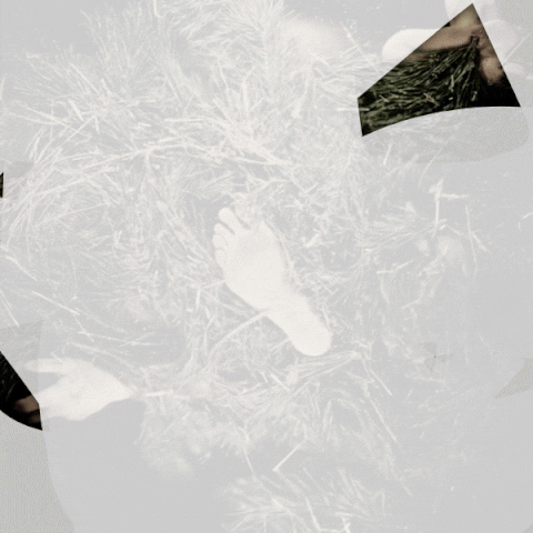 hardy waelder + arms & sleepers im tam tam tanzlokal GIF
