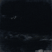 arnold schwarzenegger predator GIF by foxhorror