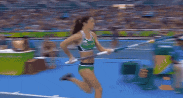 rossodonoghue  GIF