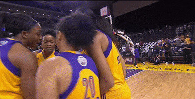 game 3 team huddle GIF by WNBA