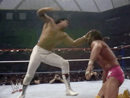 Wrestlemania Iii Wrestling GIF by WWE