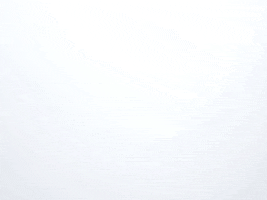 GIF by Pollective