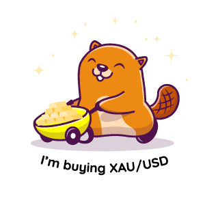 Finveo Sticker